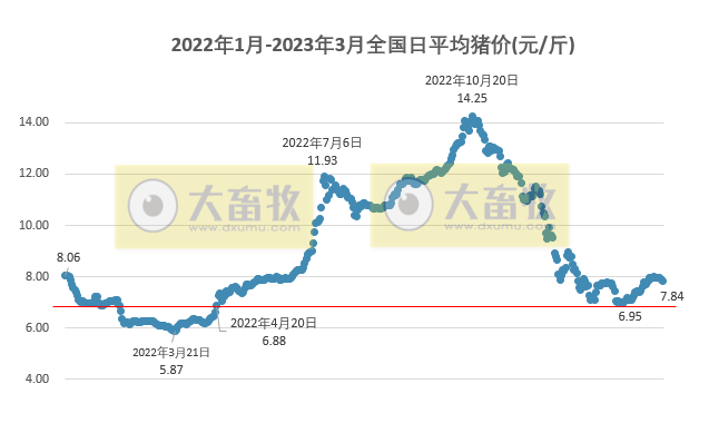 2023.03.06今日猪价