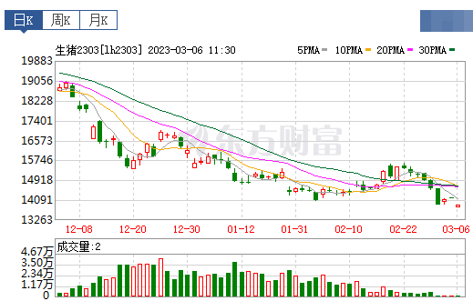 2023.03.06今日猪价
