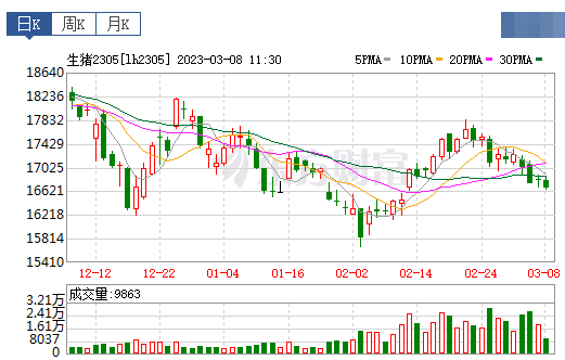 2023.03.08今日猪价