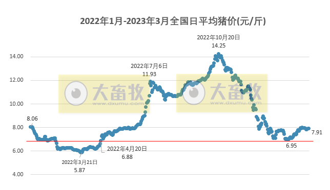 2023.03.09今日猪价