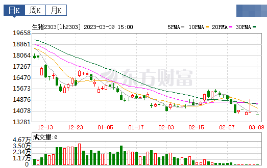2023.03.09今日猪价