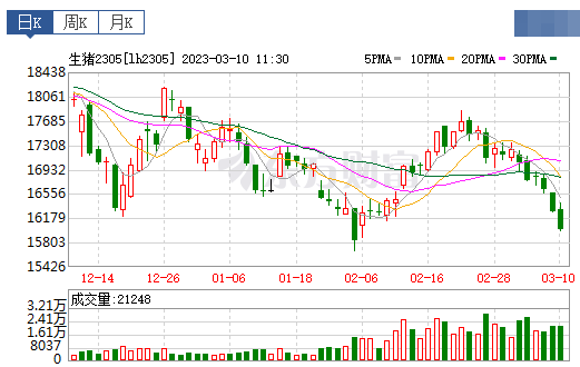 2023.03.10今日猪价