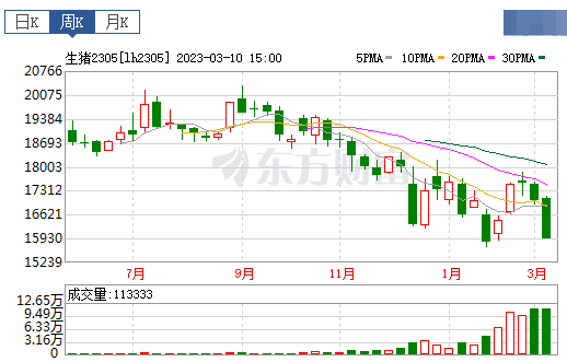 2023.03.12今日猪价
