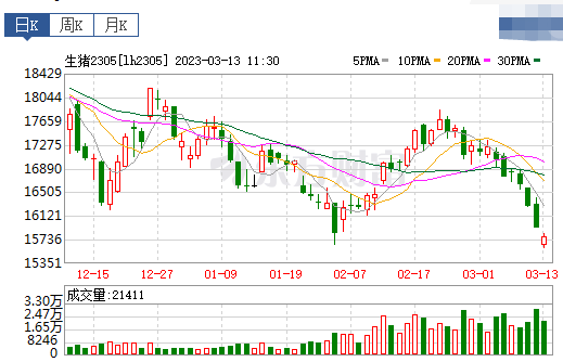 2023.03.13今日猪价