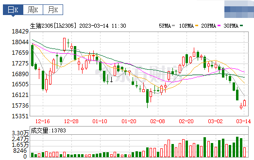 2023.03.14今日猪价
