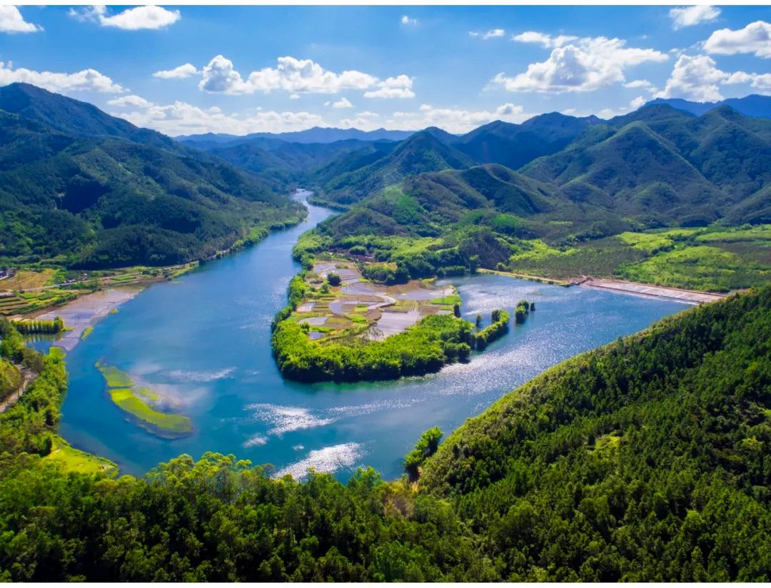 正式官宣！“恩平生猪”品牌LOGO和口号重磅发布