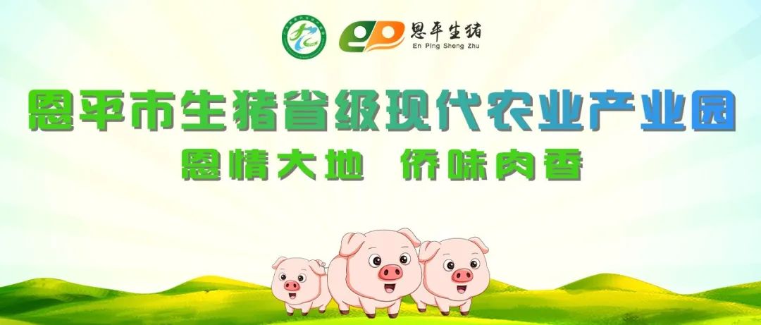 预计产值超40亿元！这个产业园的底气源自何处？