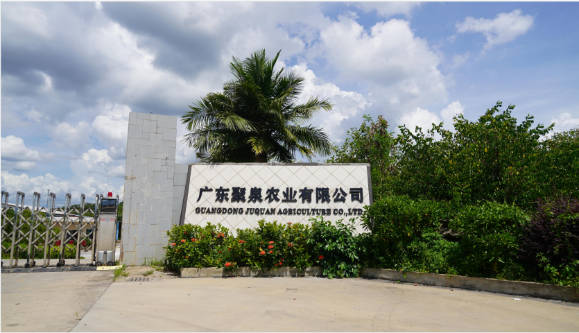 预计产值超40亿元！这个产业园的底气源自何处？