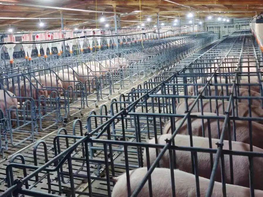 预计产值超40亿元！这个产业园的底气源自何处？