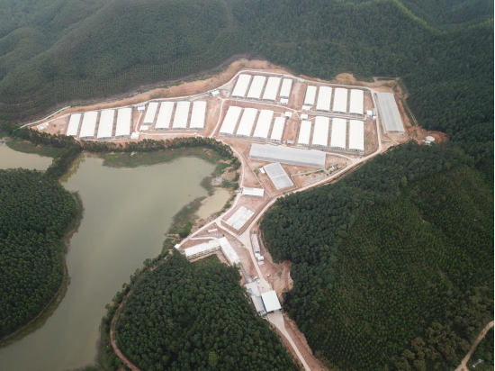 5年时间成为现代农牧“后起之秀”，同创凭什么？