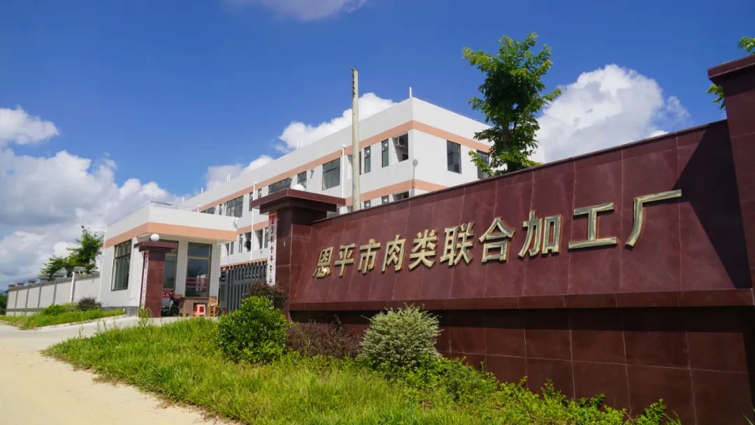 年屠宰生猪36万头！恩平最新的现代化、标准化屠宰企业，具有哪些亮点？