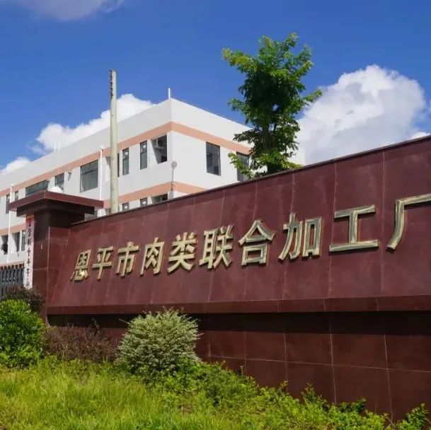 年屠宰生猪36万头！恩平最新的现代化、标准化屠宰企业，具有哪些亮点？