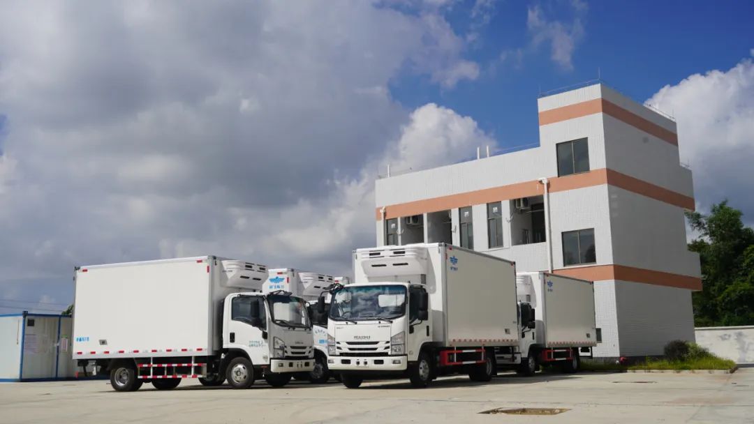 年屠宰生猪36万头！恩平最新的现代化、标准化屠宰企业，具有哪些亮点？