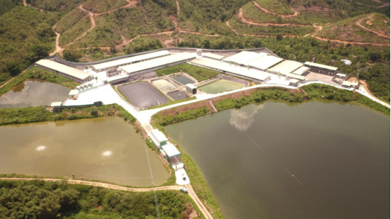 如何成功避开“环保劫”，实现粪污“零”排放？这家猪场找到了一条可实现的道路