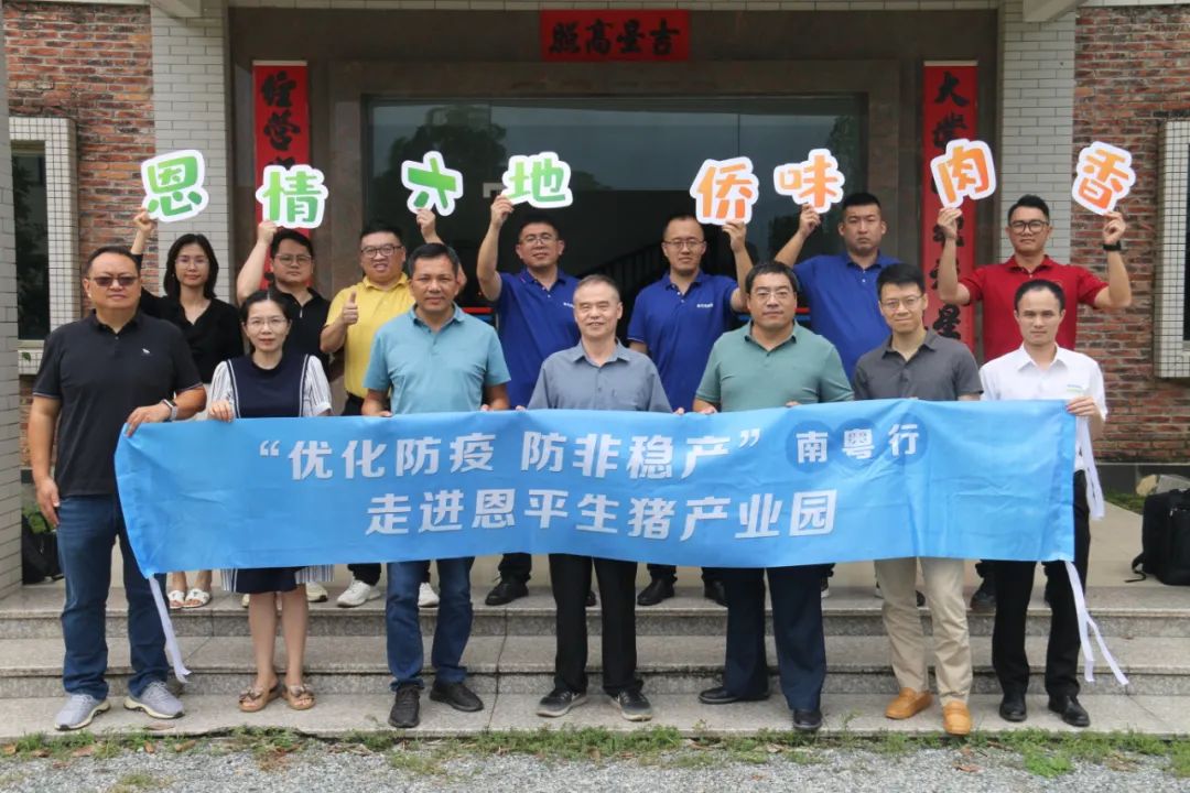 南粤行走进恩平生猪产业园：年生猪出栏量超83.2万头，产业链综合产值可达40.7亿元，如何实现？