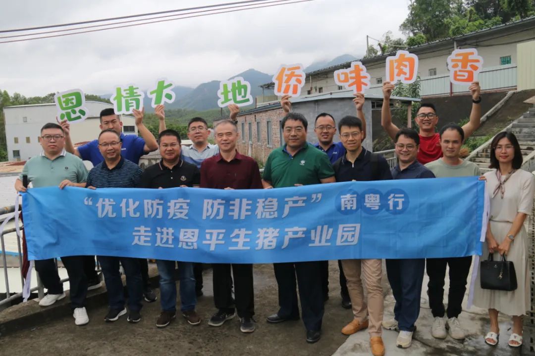 南粤行走进恩平生猪产业园：年生猪出栏量超83.2万头，产业链综合产值可达40.7亿元，如何实现？
