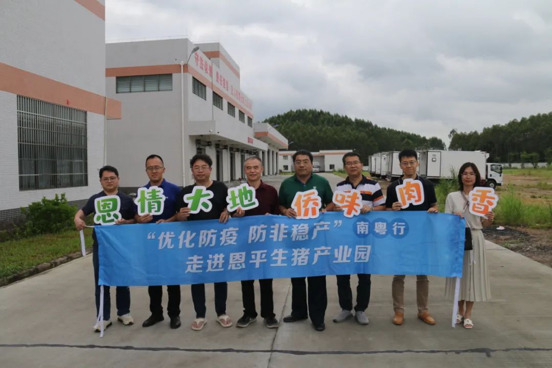南粤行走进恩平生猪产业园：年生猪出栏量超83.2万头，产业链综合产值可达40.7亿元，如何实现？