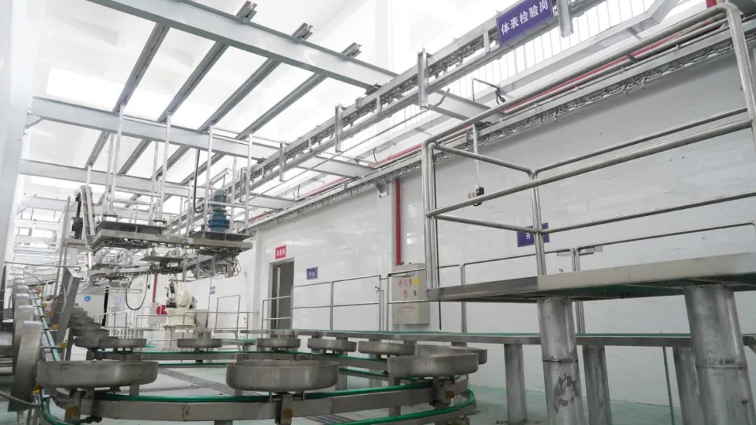 “一心一园三区一带”赋能恩平生猪产业转型升级