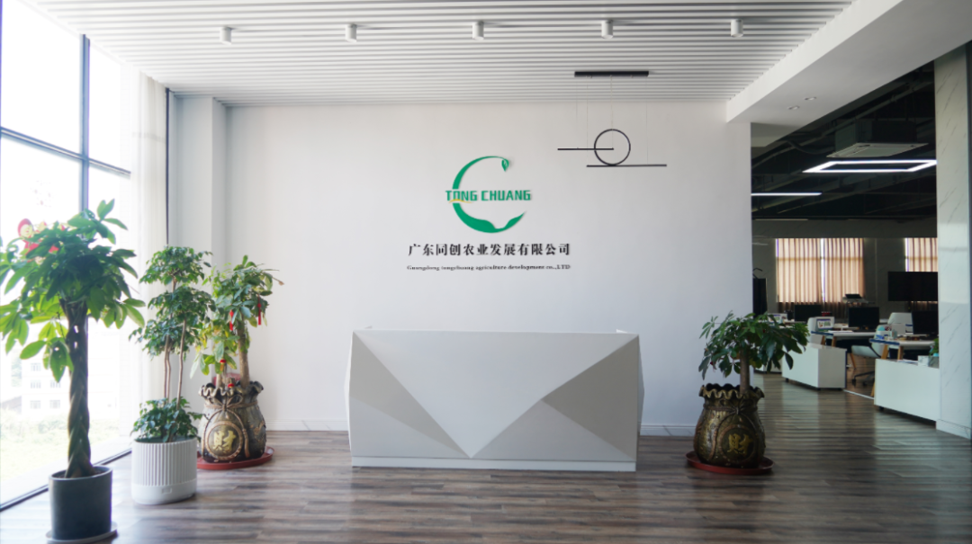 “一心一园三区一带”赋能恩平生猪产业转型升级