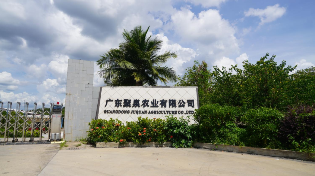 “一心一园三区一带”赋能恩平生猪产业转型升级