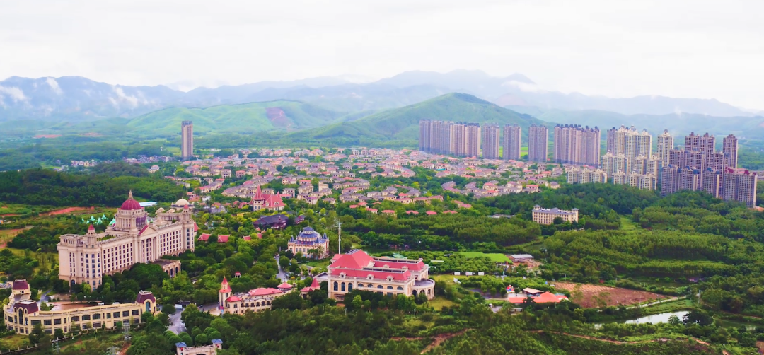 “一心一园三区一带”赋能恩平生猪产业转型升级