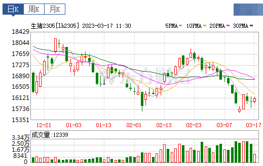 2023.03.17今日猪价