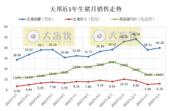 天邦食品:2月全群销售均价低,是因为淘汰母猪销量占比相对较高