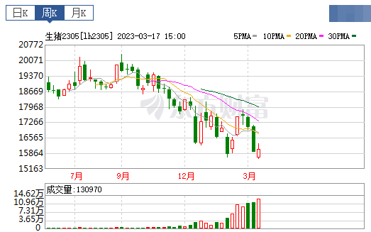 2023.03.19今日猪价