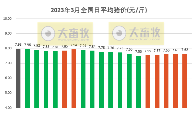 2023.03.20今日猪价