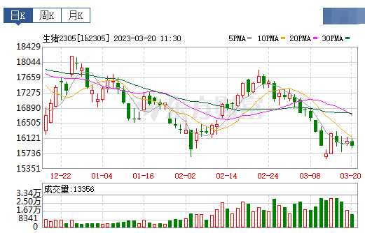 2023.03.20今日猪价