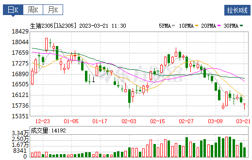 2023.03.21今日猪价