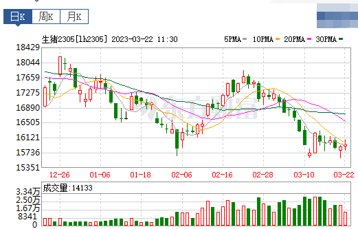 2023.03.22今日猪价