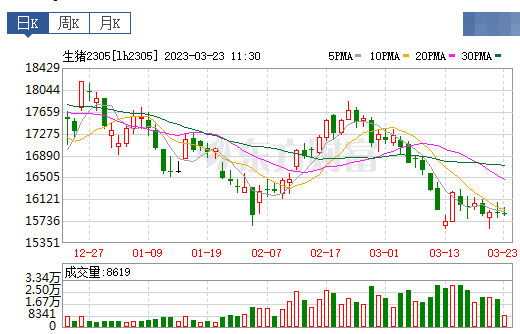 2023.03.23今日猪价