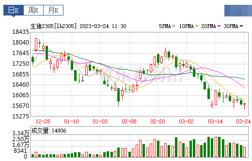 2023.03.24今日猪价