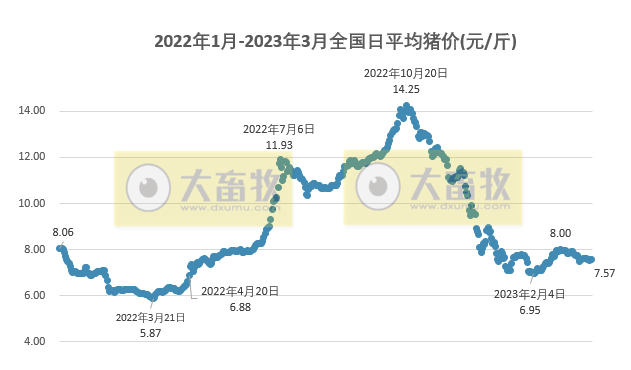 2023.03.25今日猪价