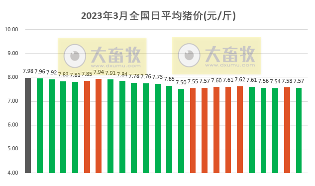 2023.03.25今日猪价
