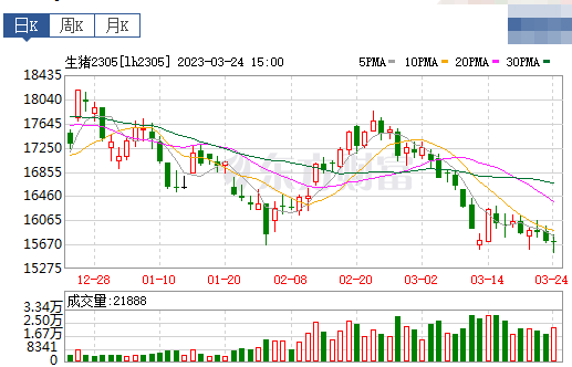 2023.03.25今日猪价