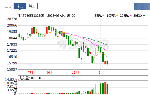 2023.03.26今日猪价