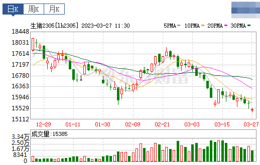 2023.03.27今日猪价