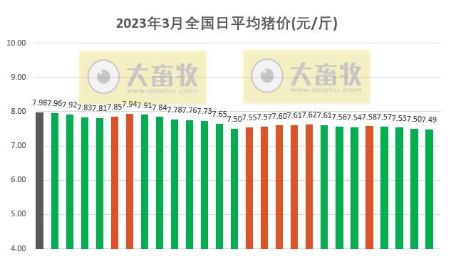 2023.03.28今日猪价