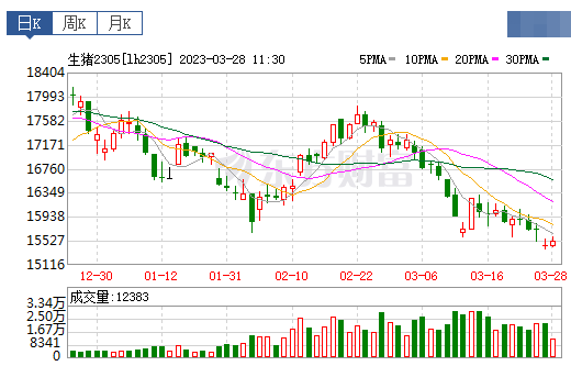 2023.03.28今日猪价