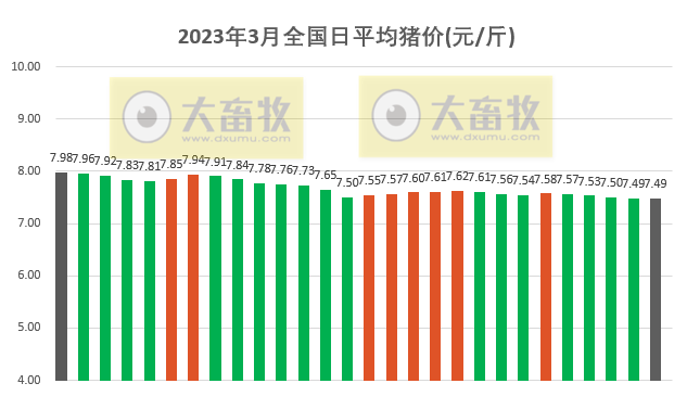 2023.03.29今日猪价