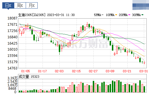 2023.03.31今日猪价