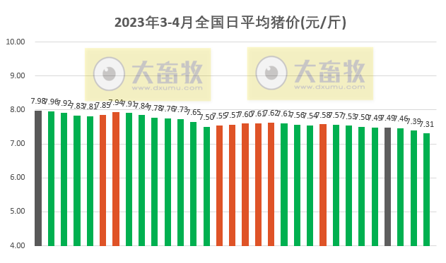 2023.04.01今日猪价