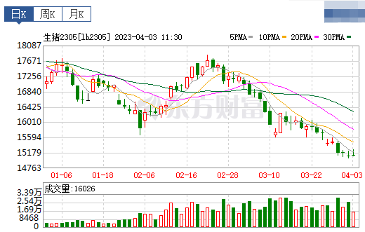 2023.04.03今日猪价