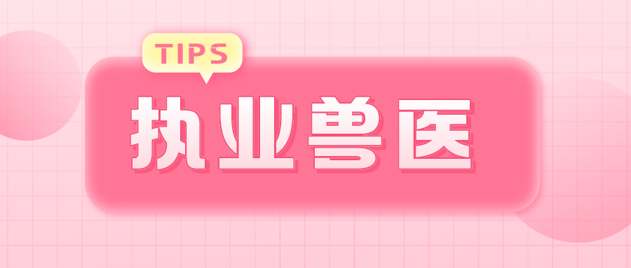 报名啦！2025年全国执业兽医资格考试1月13-24日报名，7月13日考试