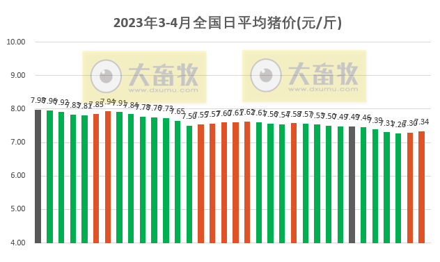 2023.04.04今日猪价