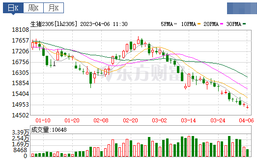 2023.04.06今日猪价