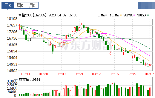2023.04.08今日猪价