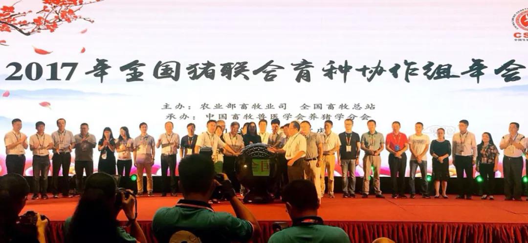 生猪种业的昨天、今天和明天